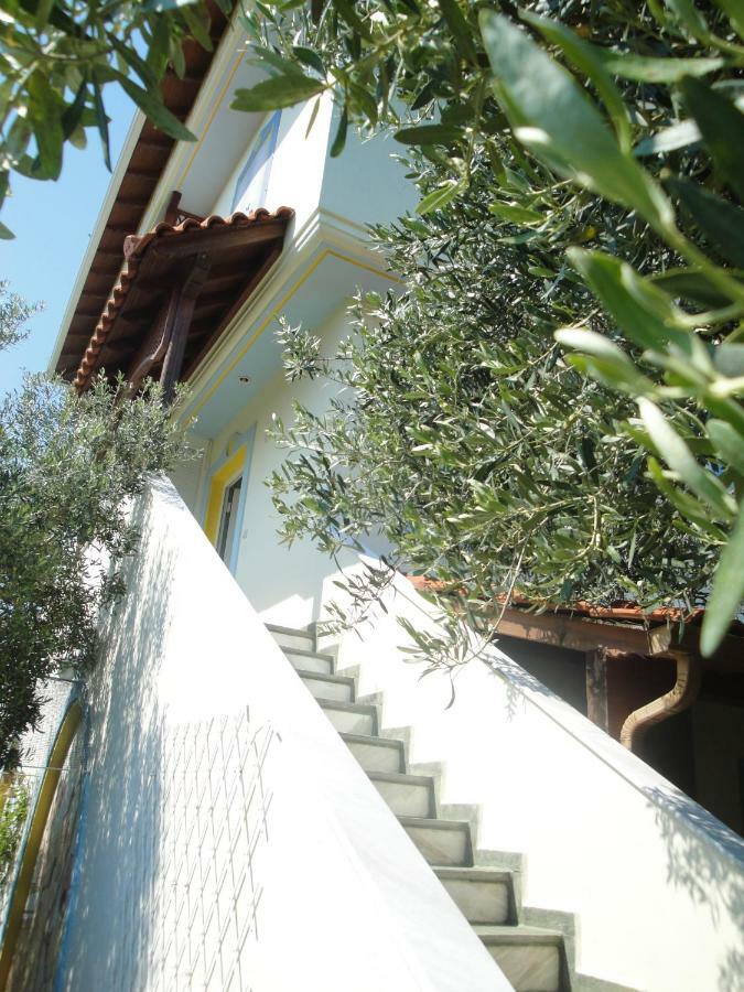 Villa Di Costa Nea Skioni Bagian luar foto